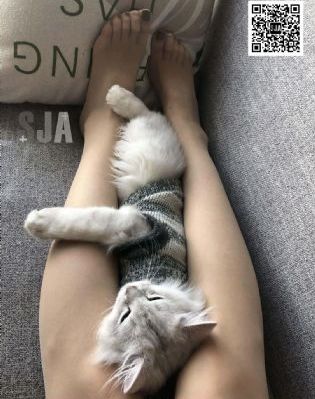 决战大洋 电影_在线电影免费观看